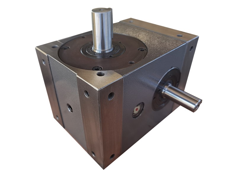 Shaft Model DS Series Cam Indexer | cam indexing drive | gearbox for pharmaceutical machinery